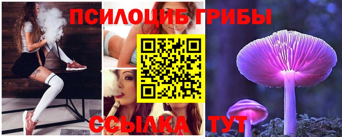 Ишимбай  Галлюциногенные грибы Cubensis  Вход с VPN 