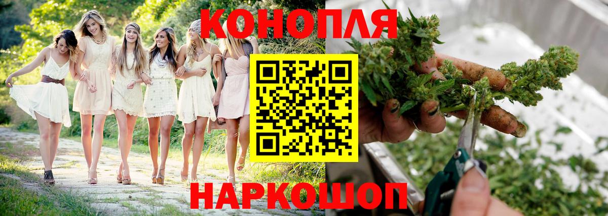Бошки Шишки MAZAR Ишимбай